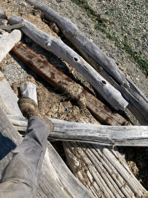 a person's foot on a wooden fence (MyCoast AI)