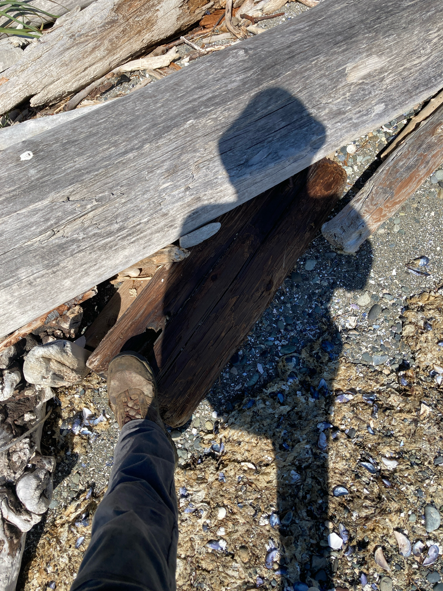 659037565a362a788f9de04eb2c3a186903a941f