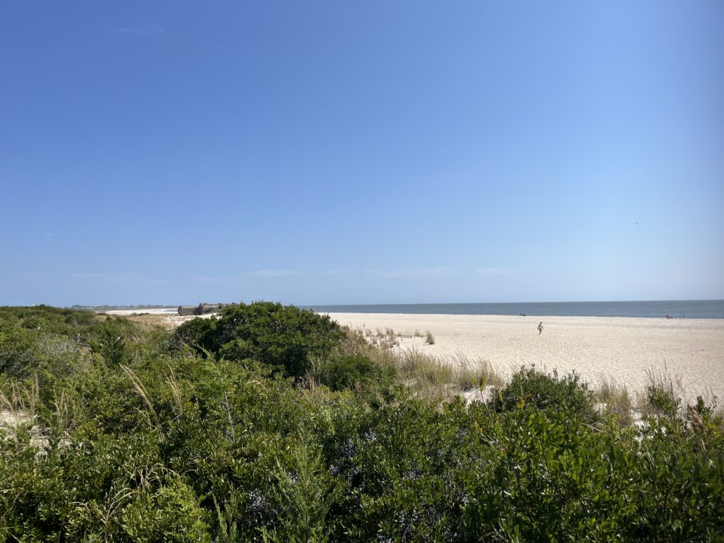 a sandy beach with bushes and trees (MyCoast AI)