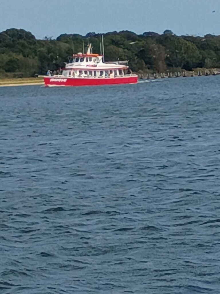 a red and white boat on water (MyCoast AI)