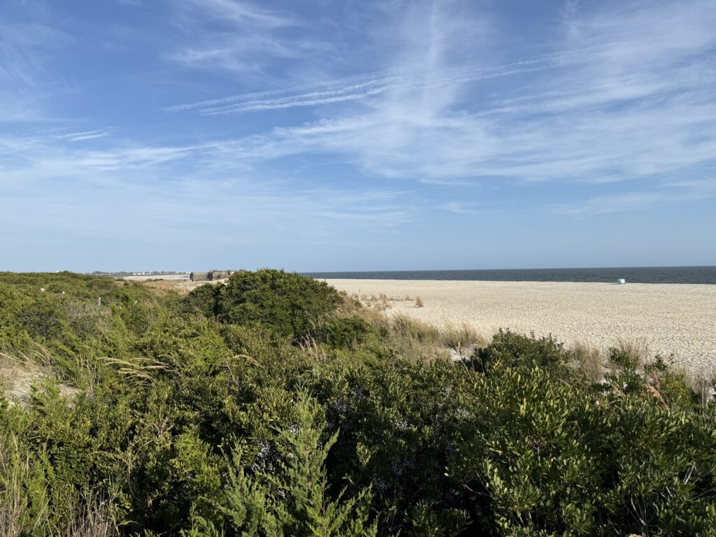 a landscape with trees and bushes (MyCoast AI)