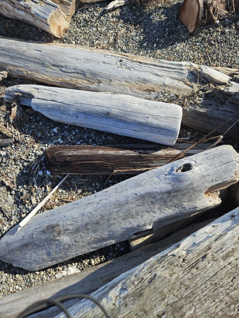 a group of wooden stairs (MyCoast AI)