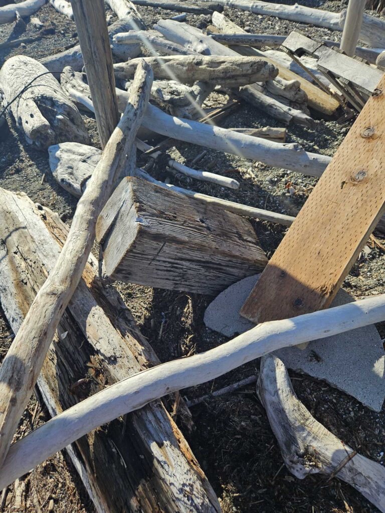 a pile of wood (MyCoast AI)