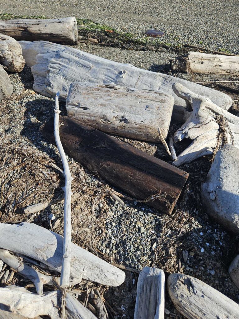 a pile of wood (MyCoast AI)