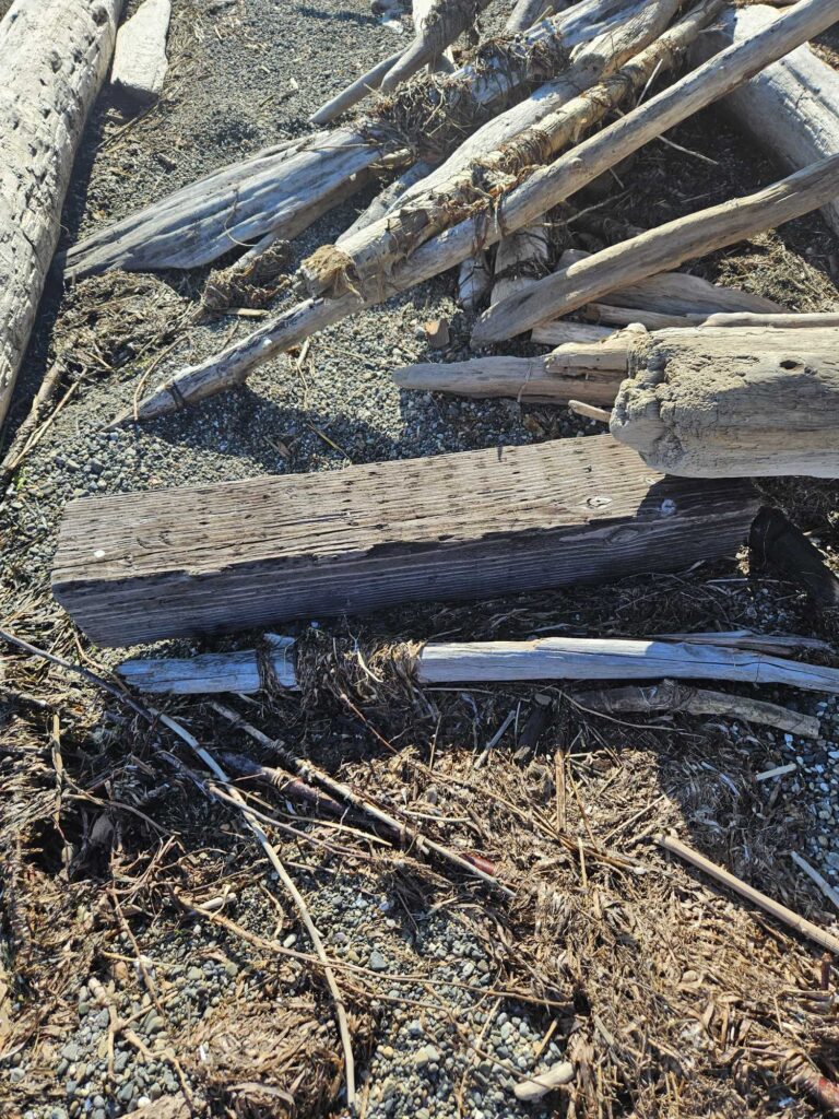 a pile of wood (MyCoast AI)