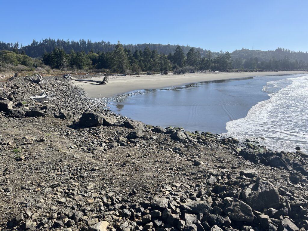 a rocky beach with trees in the background (MyCoast AI)