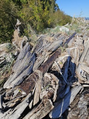 a large pile of cut trees (MyCoast AI)