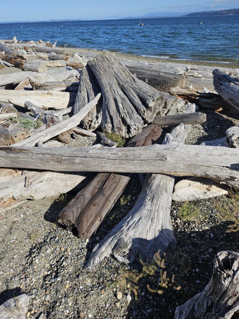 a wooden fence on a rocky beach (MyCoast AI)