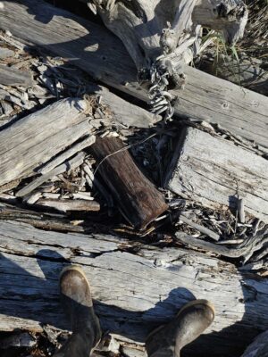 a pile of wood (MyCoast AI)