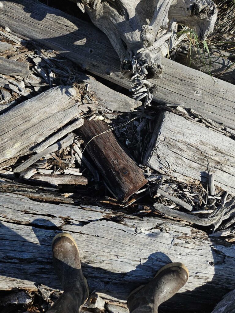 a pile of wood (MyCoast AI)