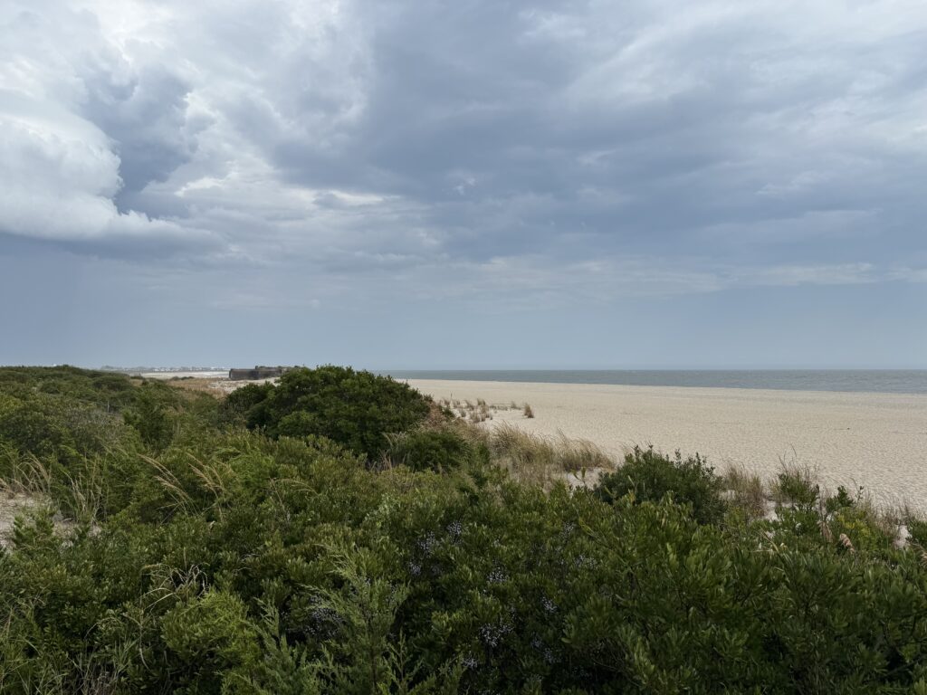 a sandy beach with trees (MyCoast AI)