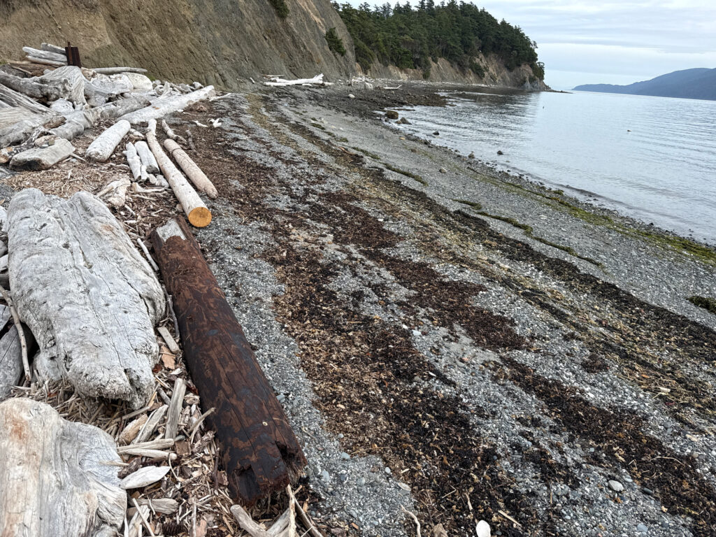 a rocky beach with a body of water in the background (MyCoast AI)
