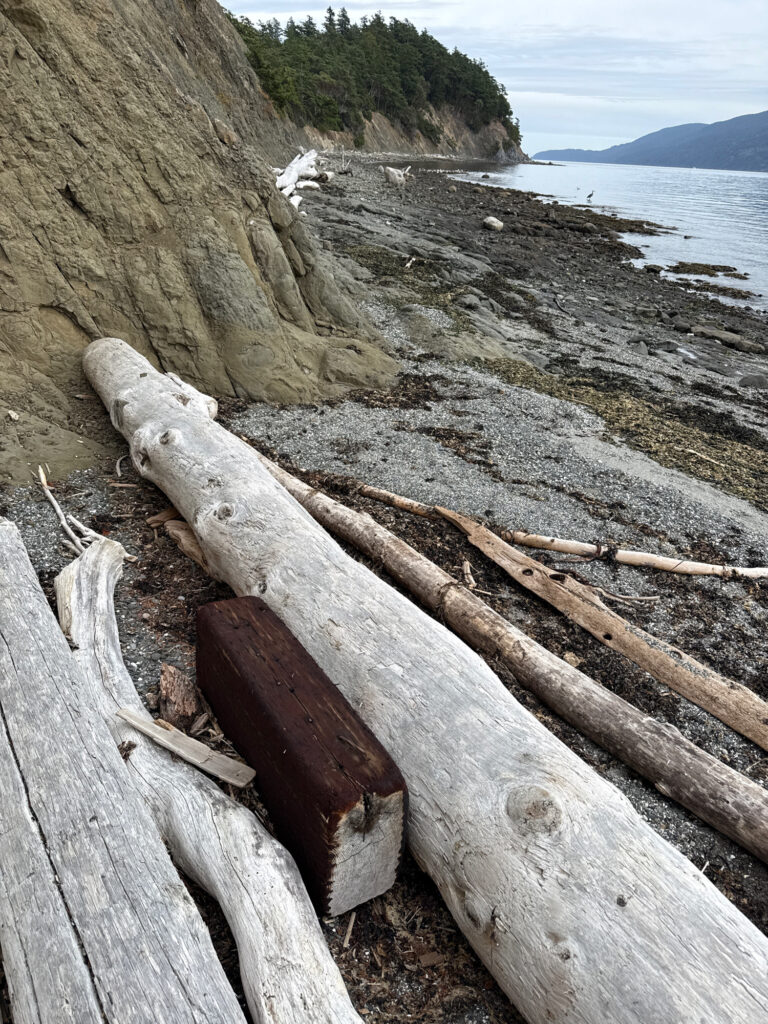 a wooden bench sits on the side of a beach (MyCoast AI)