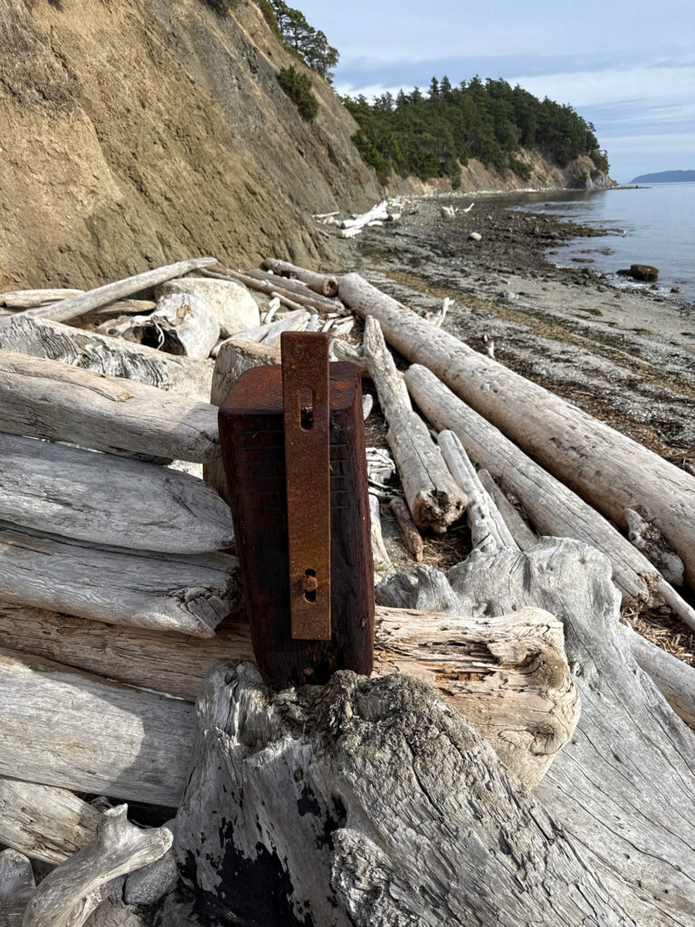 a wood post with a hole in it by a body of water (MyCoast AI)