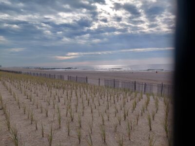a field of grass with a fence and water in the background (MyCoast AI)