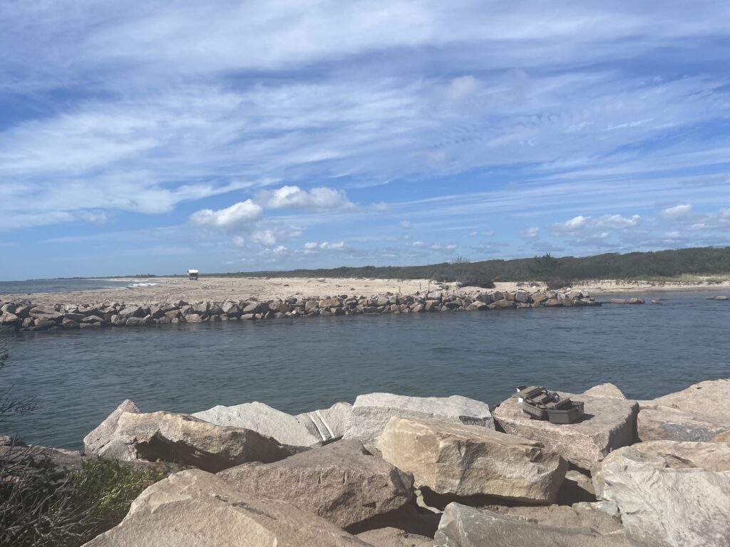 a rocky beach with a body of water in the background (MyCoast AI)