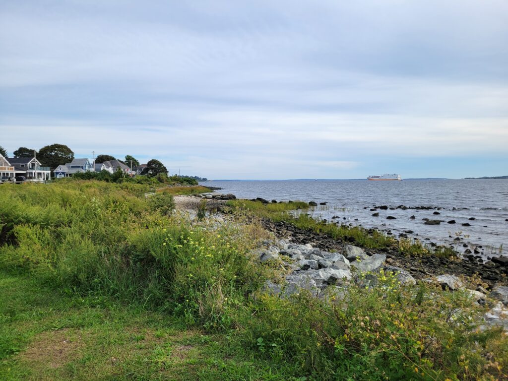 a rocky beach with houses and a body of water in the background (MyCoast AI)