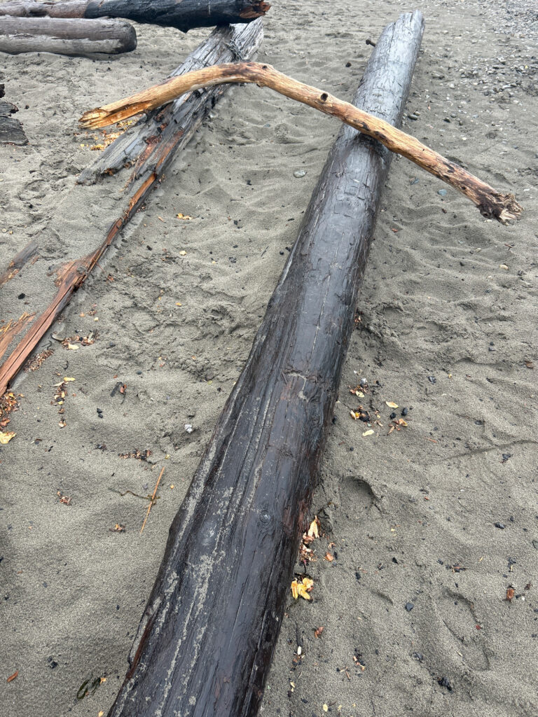 a wooden pole on the ground (MyCoast AI)