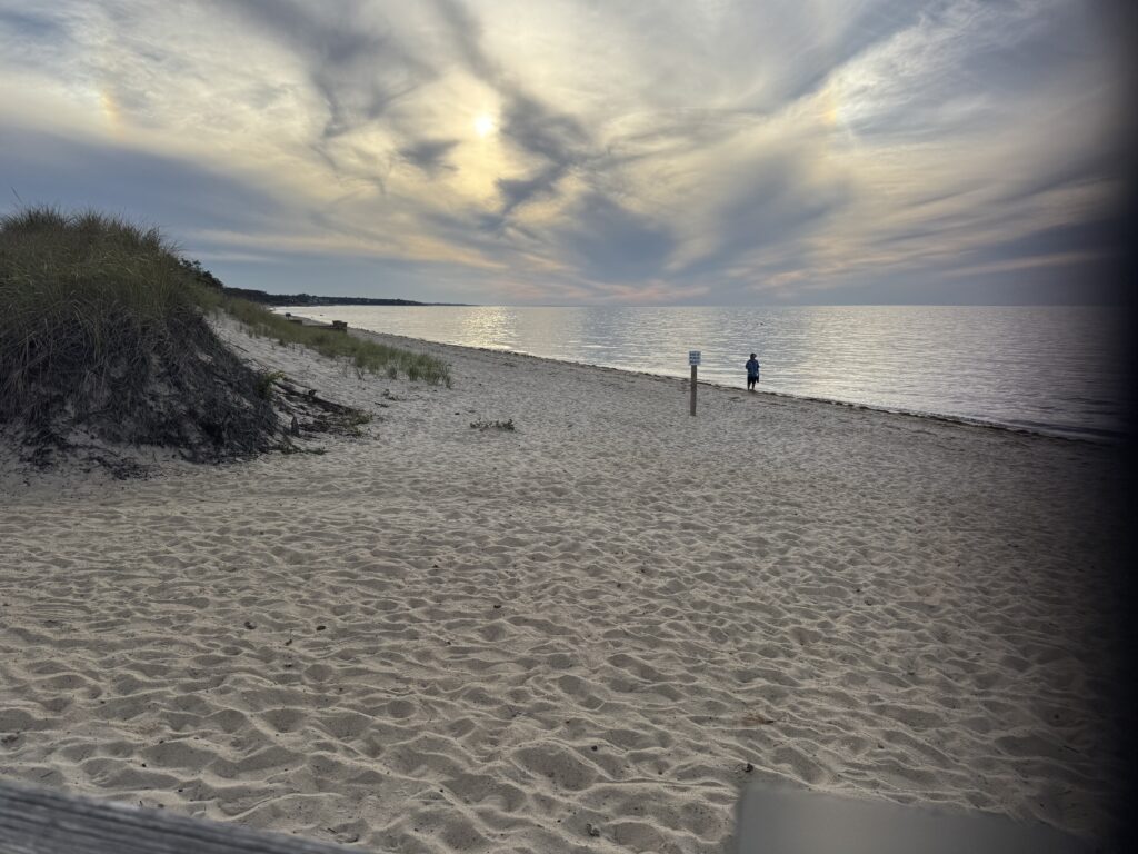 a person walking on a beach (MyCoast AI)