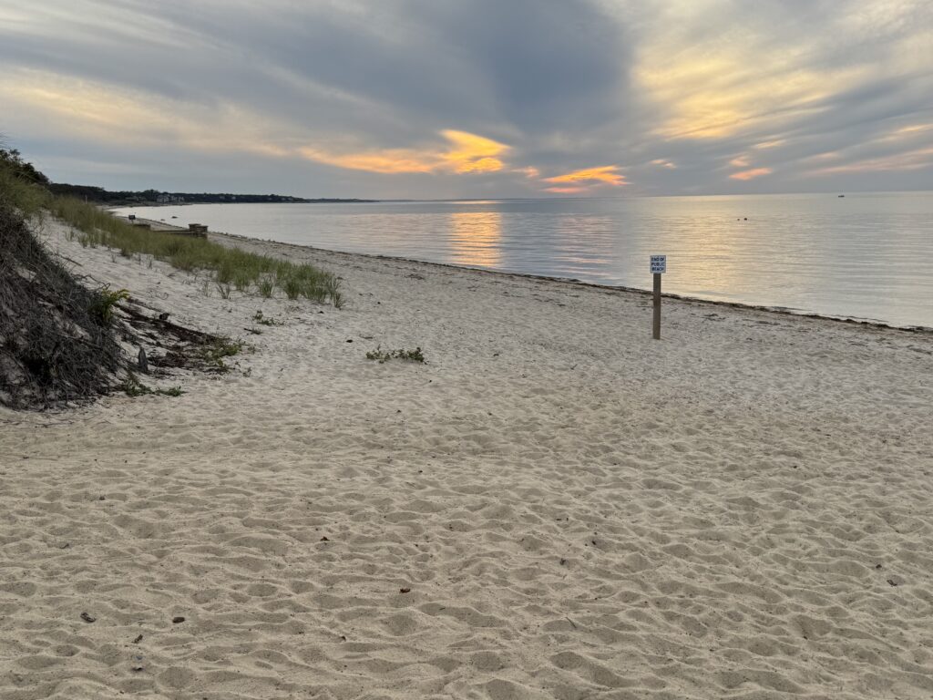 a sandy beach with a body of water in the background (MyCoast AI)