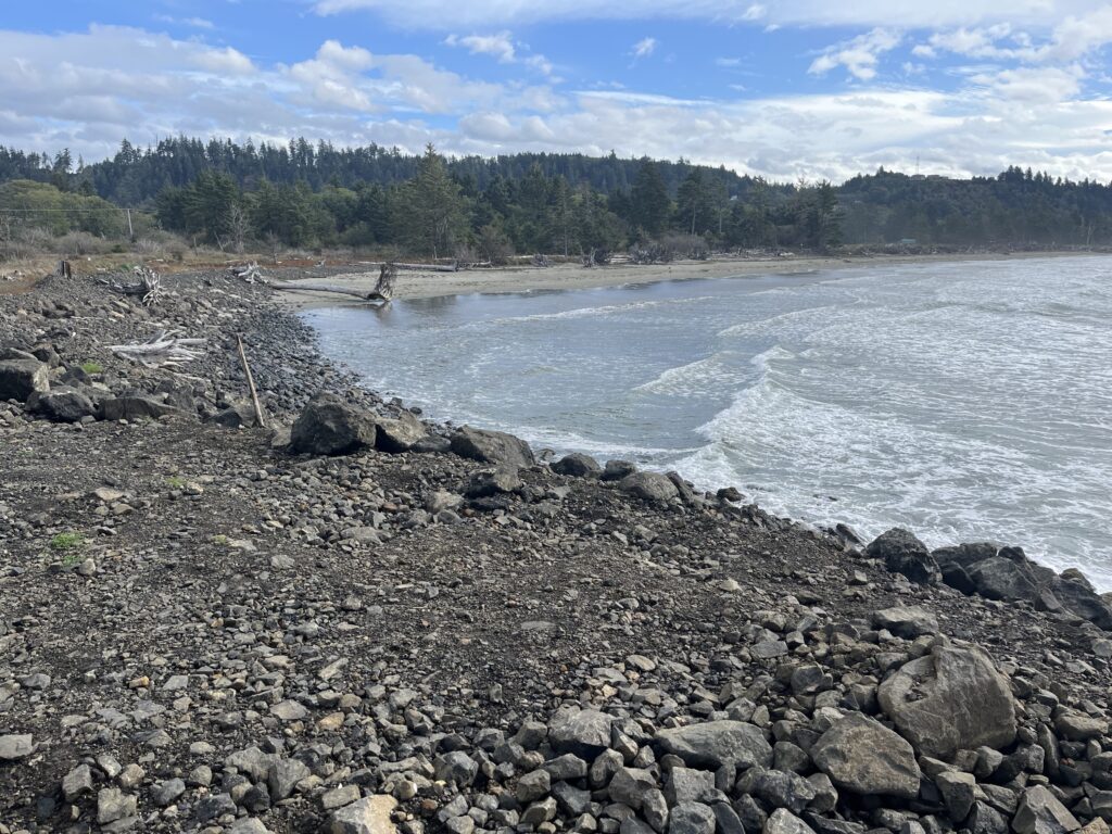 a rocky shore with a body of water and trees in the background (MyCoast AI)