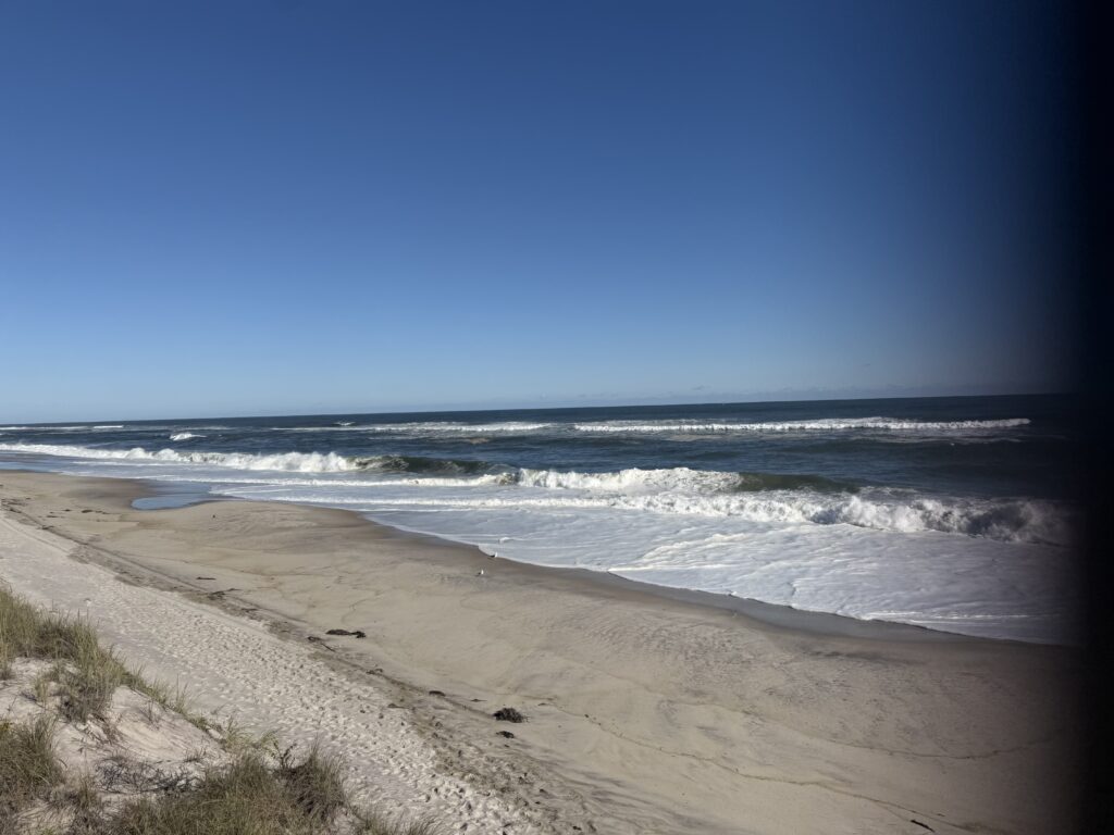 a sandy beach with waves crashing on it (MyCoast AI)