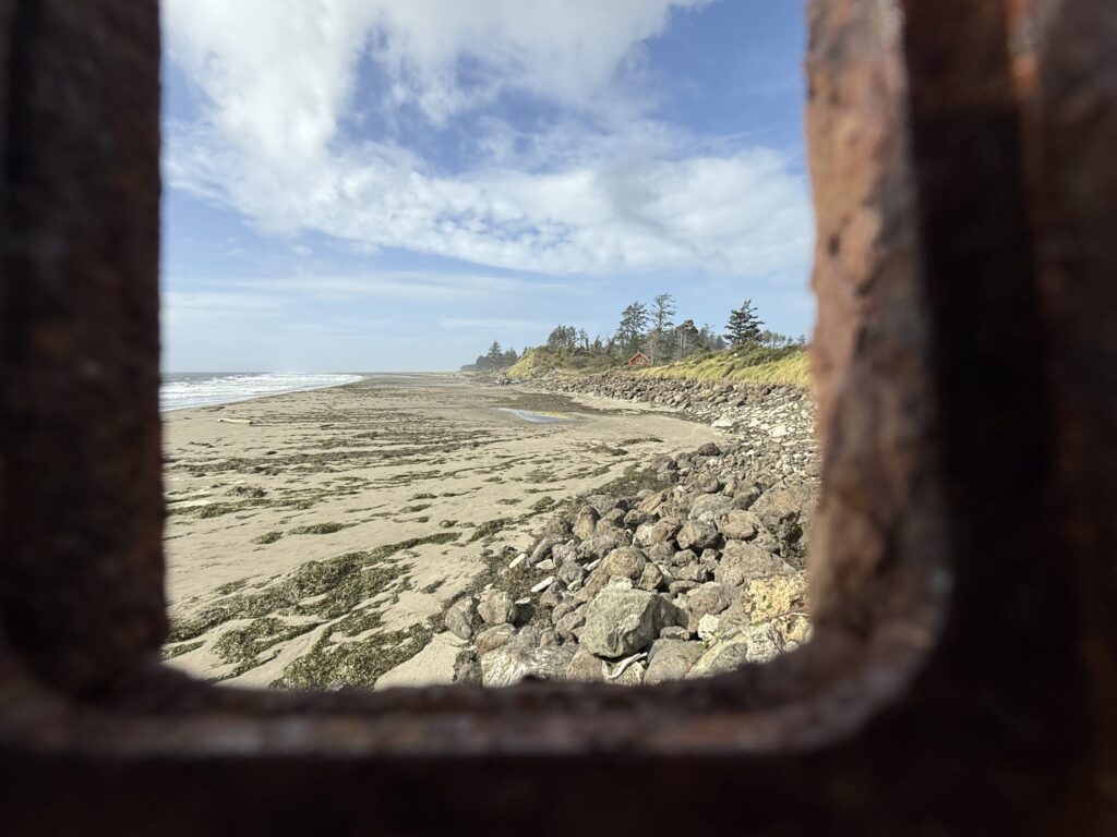 a rocky beach with trees in the background (MyCoast AI)