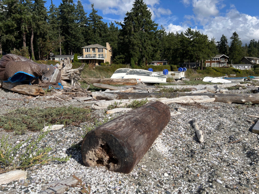 a log on the ground (MyCoast AI)