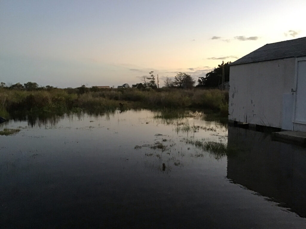 a body of water with grass and trees around it (MyCoast AI)
