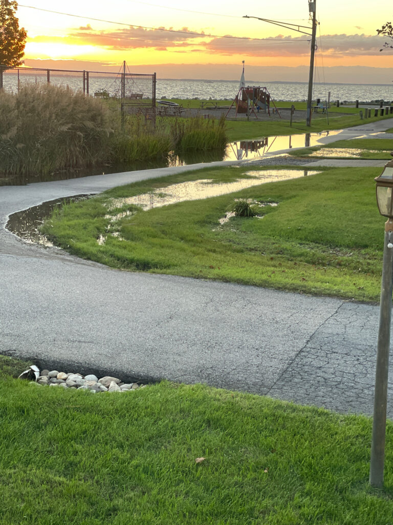 a path with grass and trees (MyCoast AI)