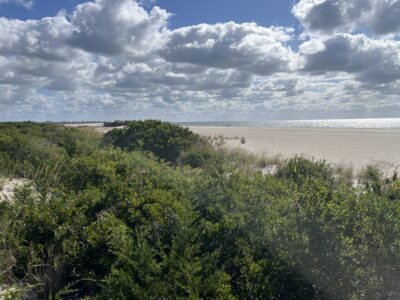 a beach with trees and a body of water in the background (MyCoast AI)
