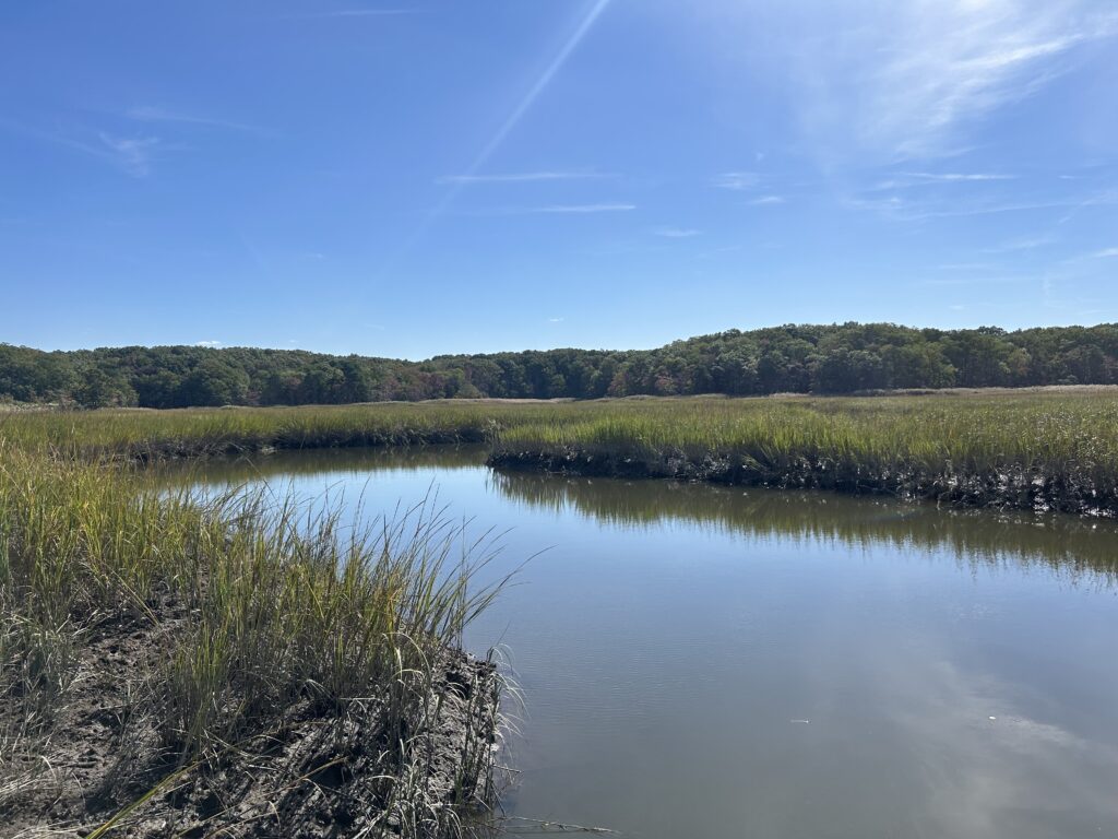 a body of water with grass and trees around it (MyCoast AI)
