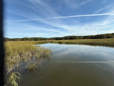 a body of water with grass and trees in the background (MyCoast AI)