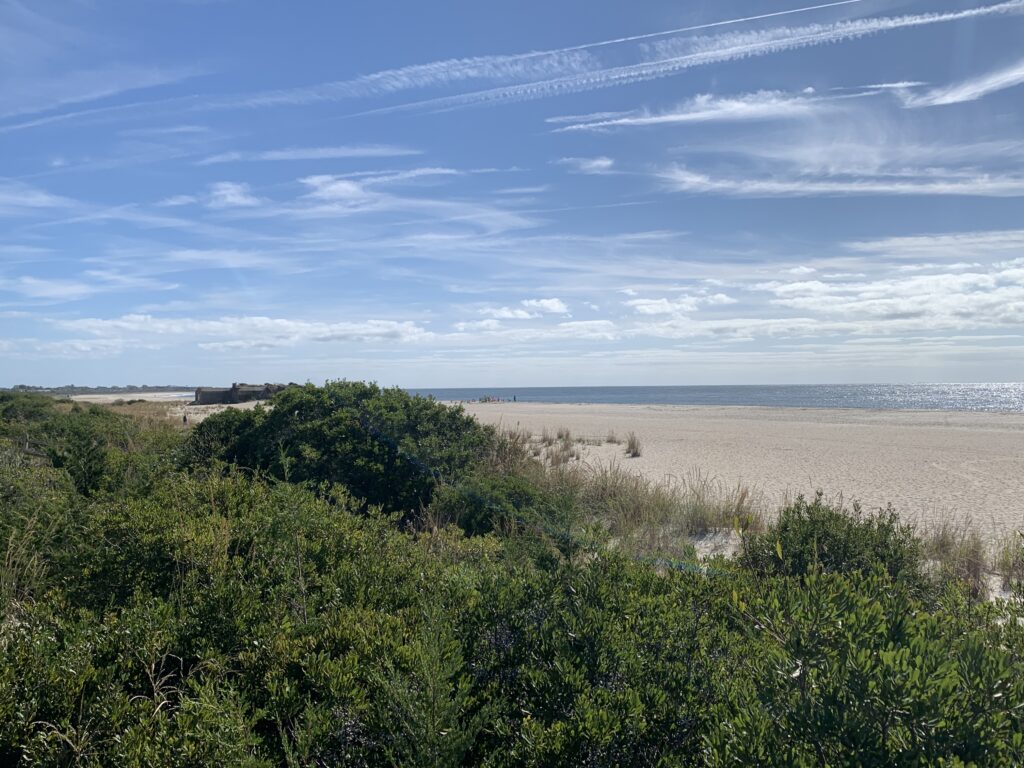 a landscape with trees and bushes (MyCoast AI)