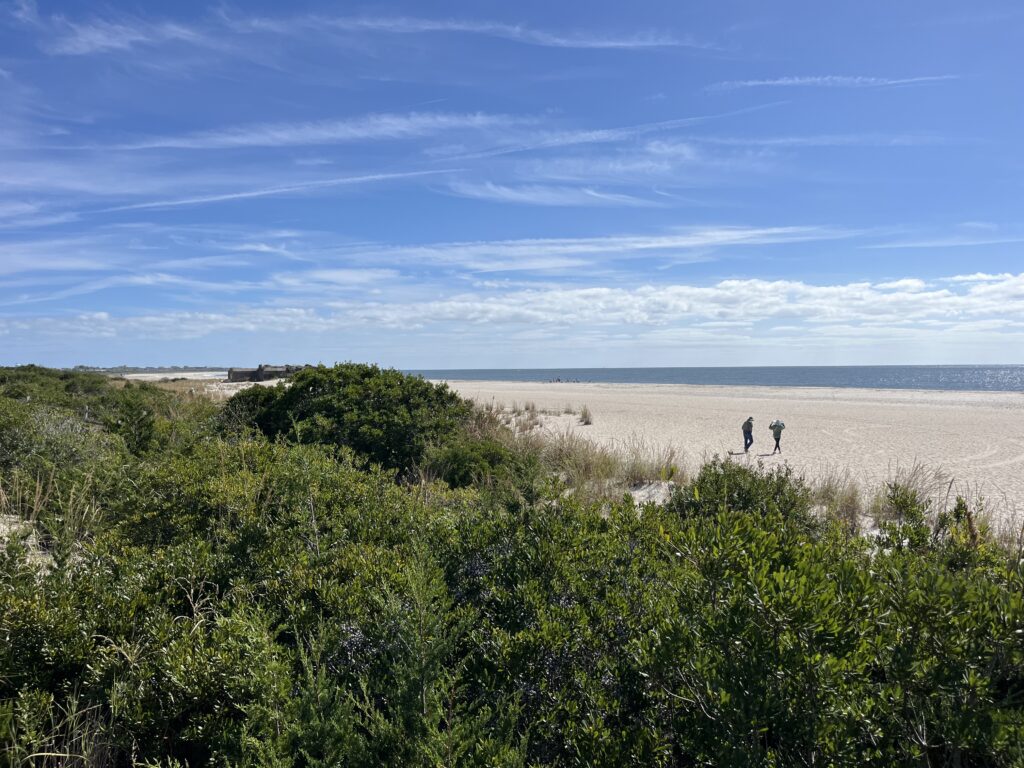 people walking on a beach (MyCoast AI)