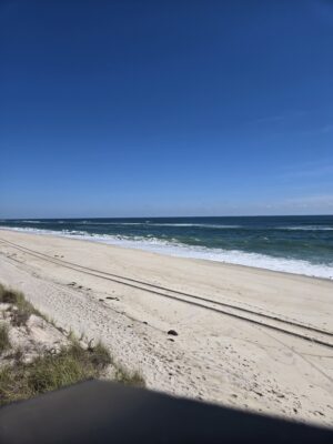 a sandy beach with waves crashing on it (MyCoast AI)