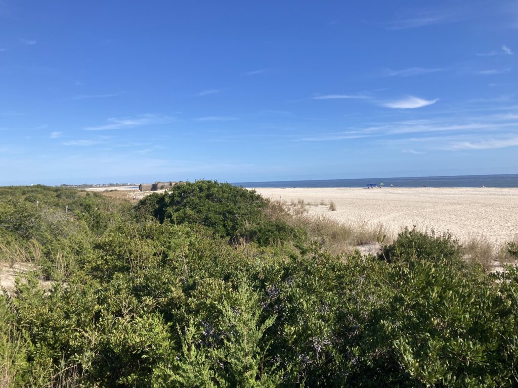 a landscape with trees and bushes (MyCoast AI)