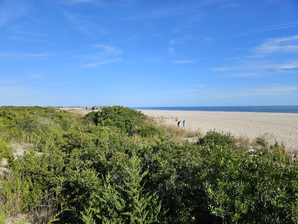 a couple people walking on a beach (MyCoast AI)