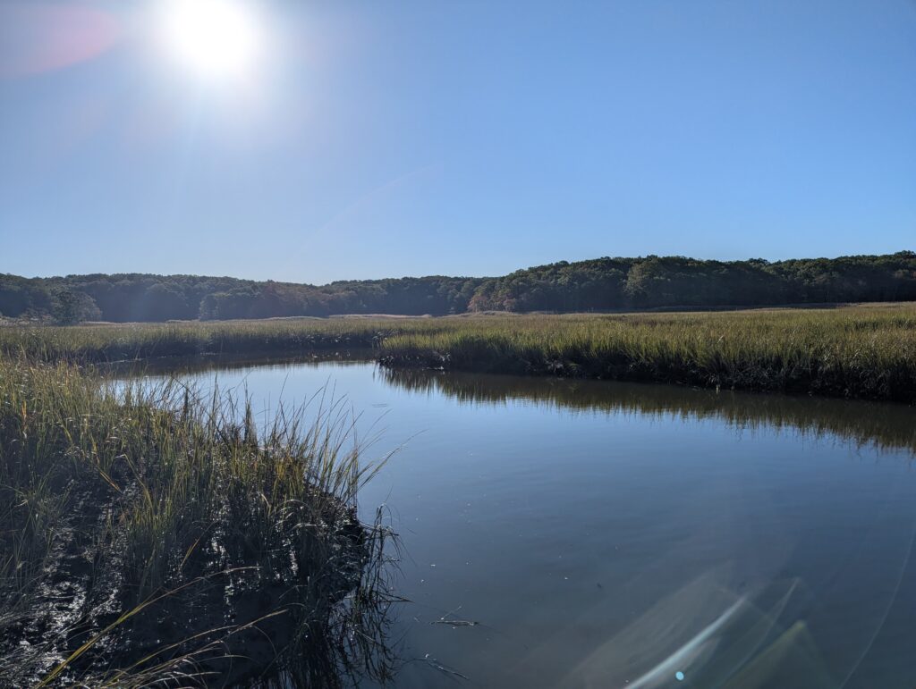 a river with grass and trees (MyCoast AI)