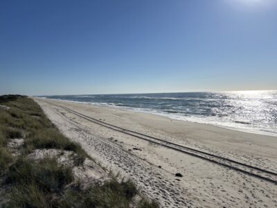 a sandy beach with waves crashing on it (MyCoast AI)