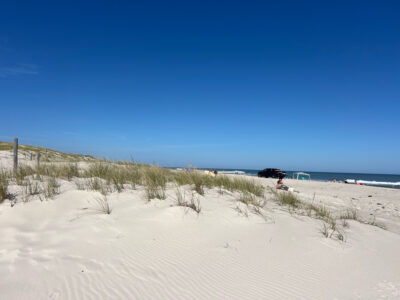a sandy beach with bushes and a car parked on the side (MyCoast AI)