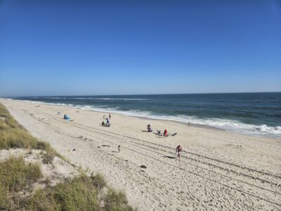 people on a beach (MyCoast AI)