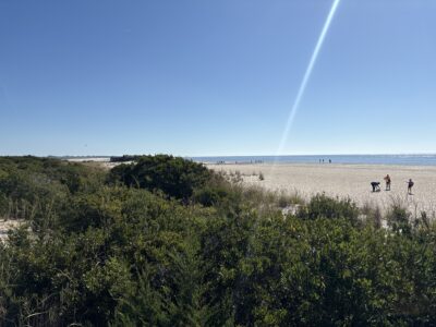 a group of people walking on a beach (MyCoast AI)