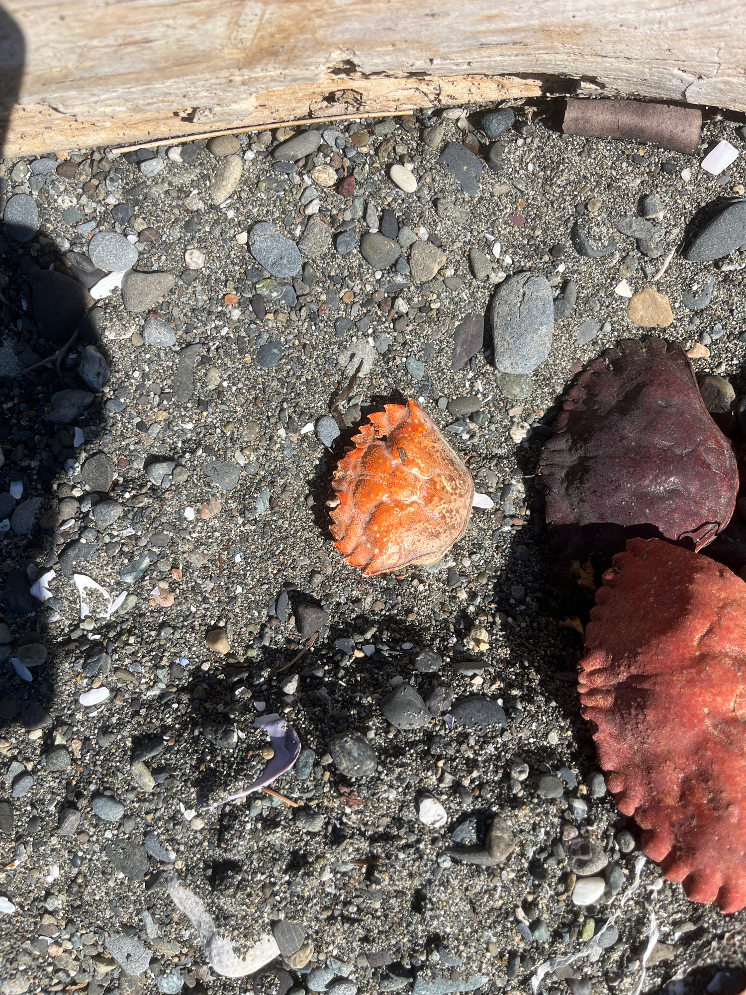 bd4f9c5c2352e4c4e26cf73e952e019c8eafc5db