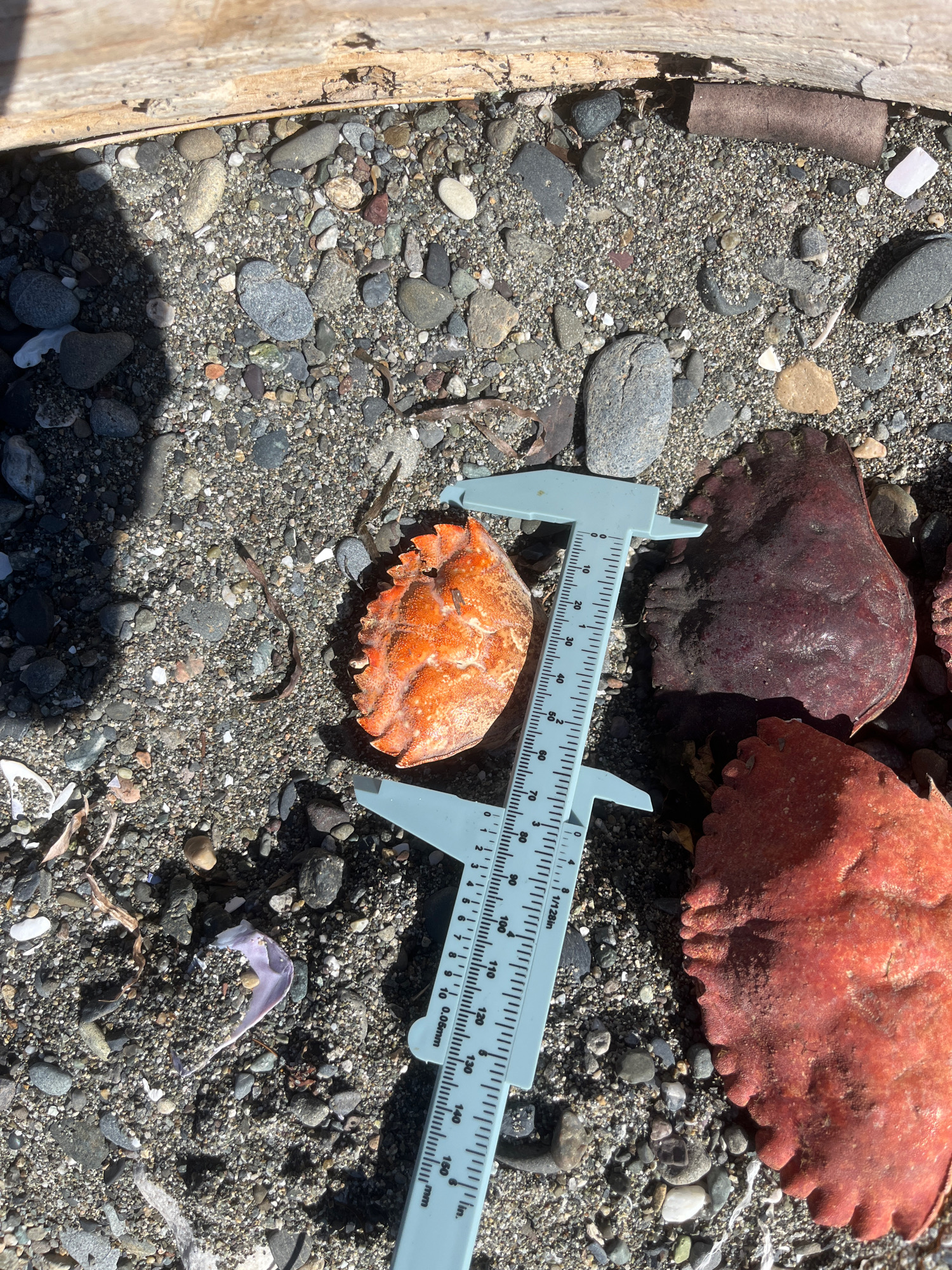 f3ee400e36646fc06e04e49779c5db8521e89f5e