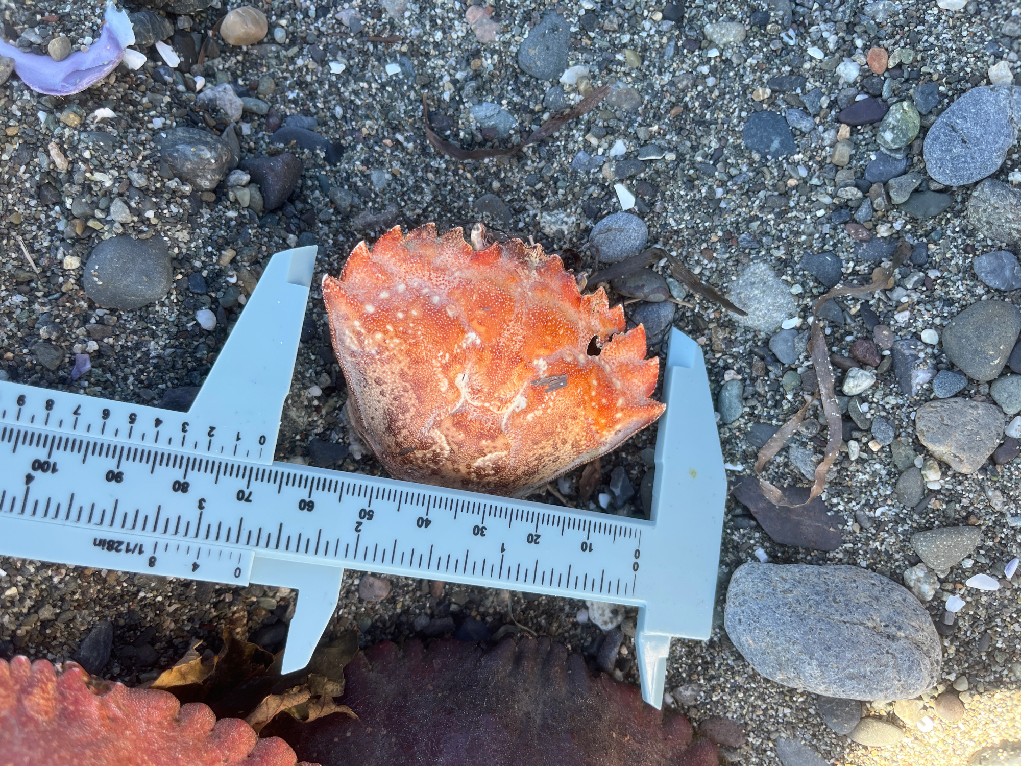 b99f2a5a5e19923aa7a8dc57449ebcbeaf35c5b9