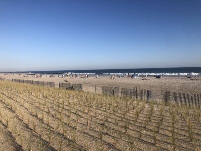 a beach with a fence and a field with people in it (MyCoast AI)