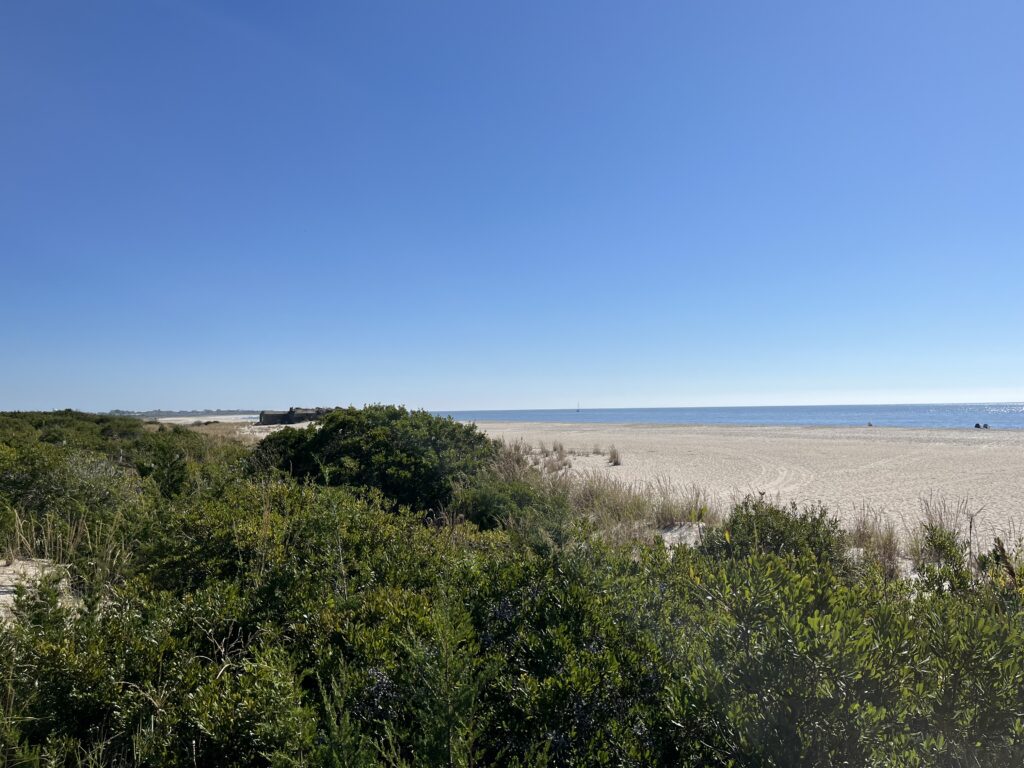 a landscape with trees and bushes (MyCoast AI)