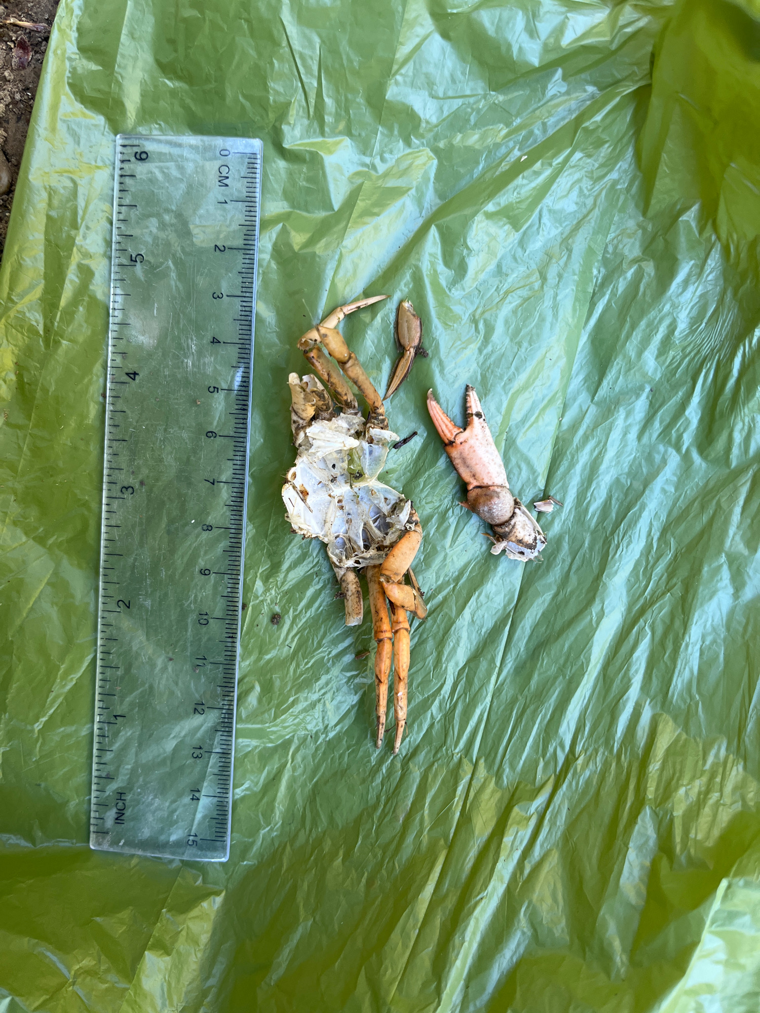 ef95a3f8d882c79120d2827e07494a7de349f547