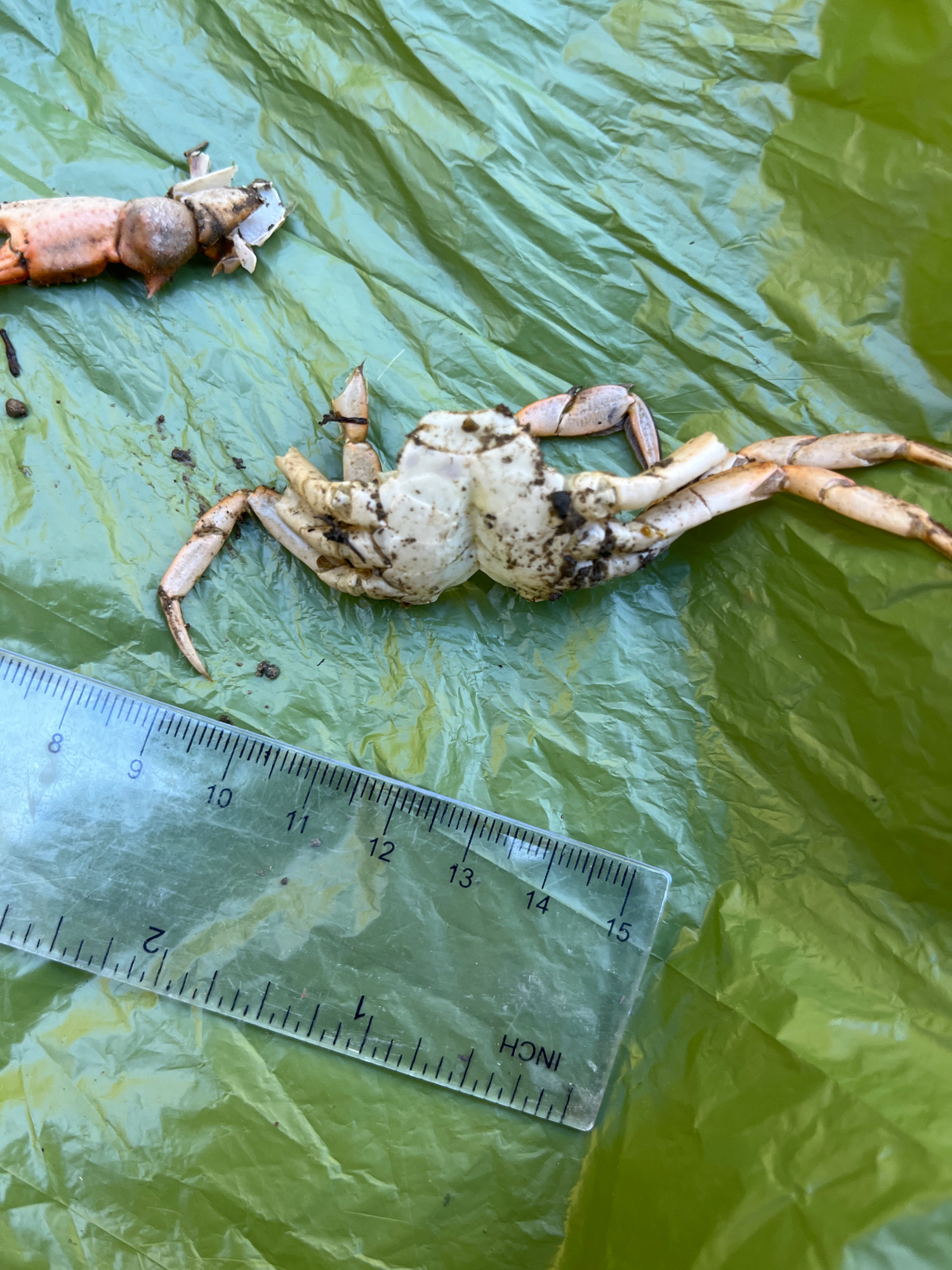 445df1e07d94b34289070cb162ca6beee6c94bae